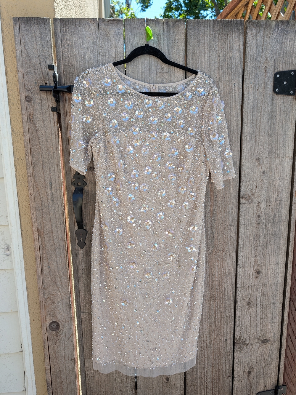 Adrianna Papell Champagne Sequin Dress